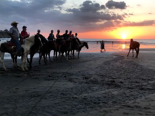 horses beach