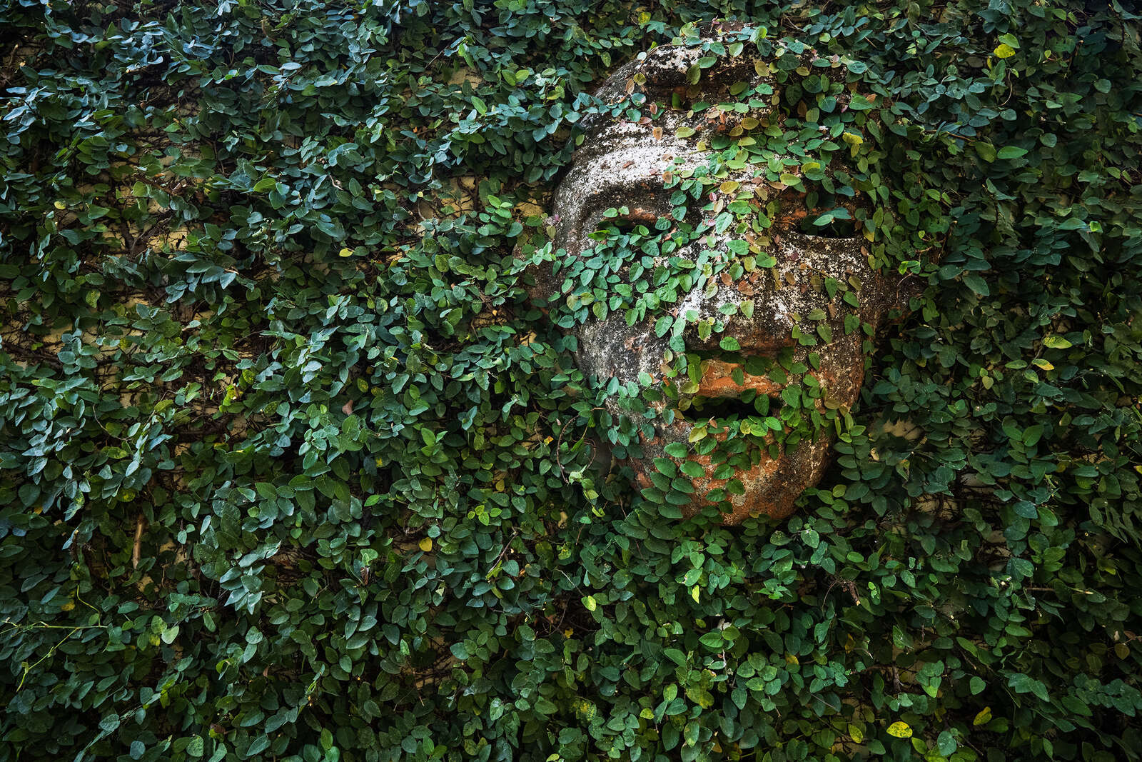 Photo of Casa Rio Mar Villa 7